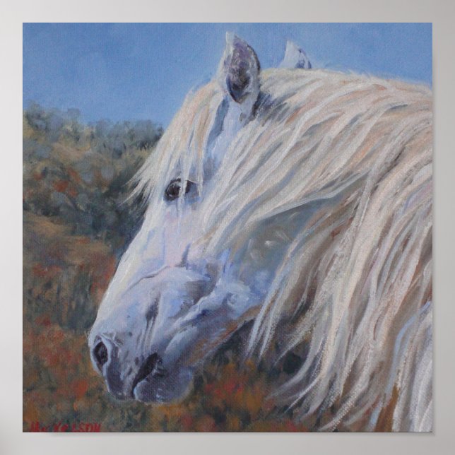 White Mustang Fine Art Print (Front)