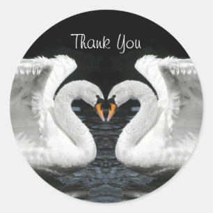 White Mute Swan Mirror Image- Thank You Classic Round Sticker