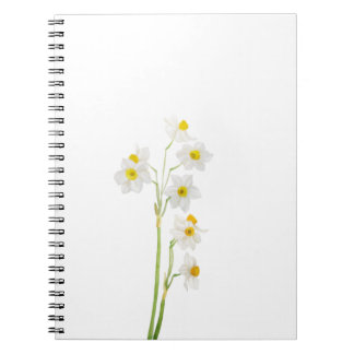 white narcissus watercolor flower notebook