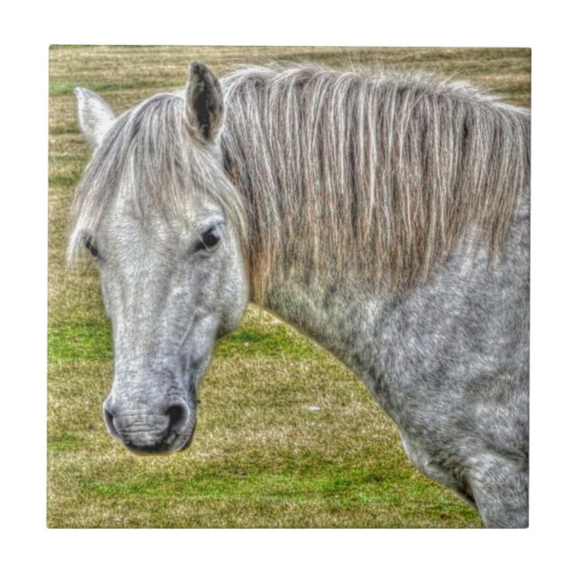 White New Forest Pony Wild Horse Tile (Front)