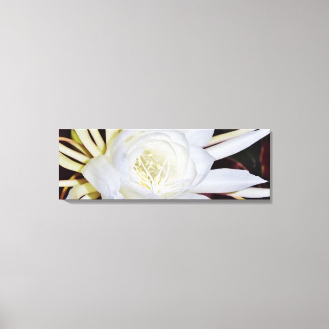 White Night Blooming Flower Canvas Print (Front)