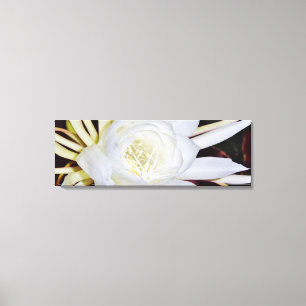 White Night Blooming Flower Canvas Print