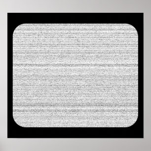 White Noise. Black and White Snowy Grain. Poster