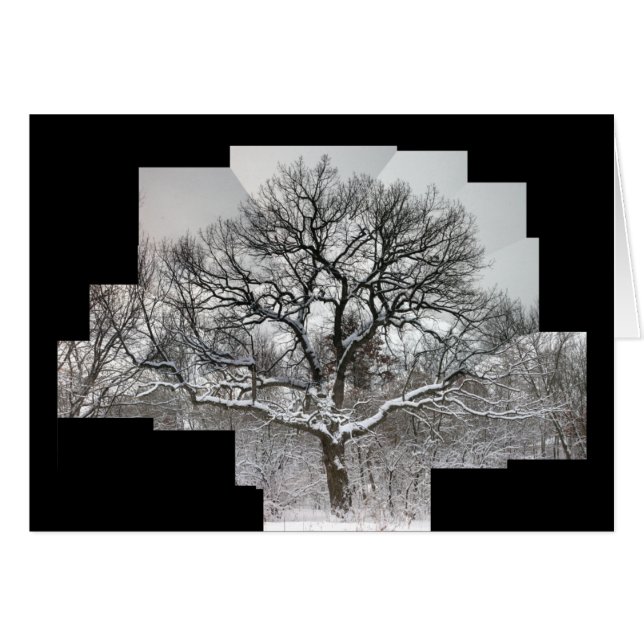 White Oak in Winter (Front Horizontal)