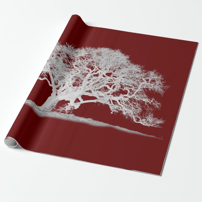 WHITE OAK TREE WRAPPING PAPER (Unrolled)