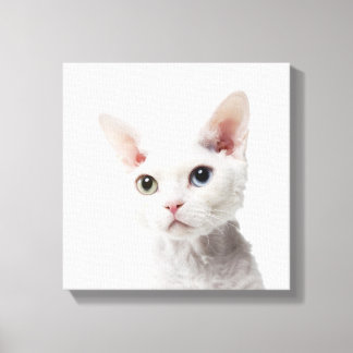 White odd-eyed cat 2 canvas print