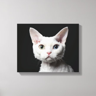 White odd-eyed cat canvas print