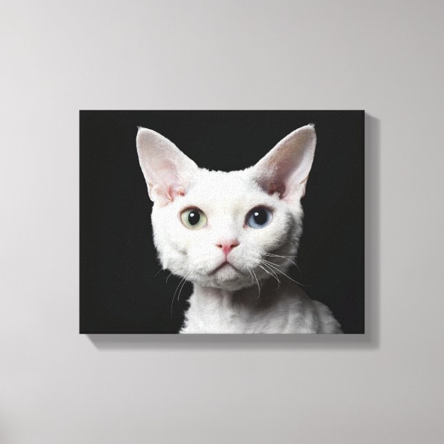 White odd-eyed cat canvas print (Front)