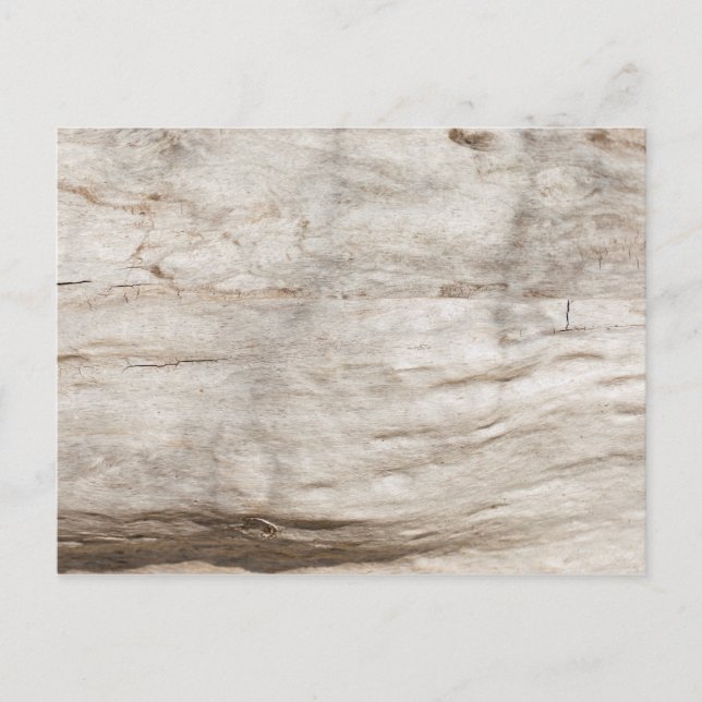 White old oak wood pattern postcard (Front)
