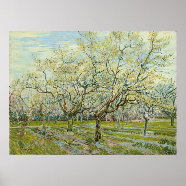 White Orchard by Vincent Van Gogh Poster (Front)