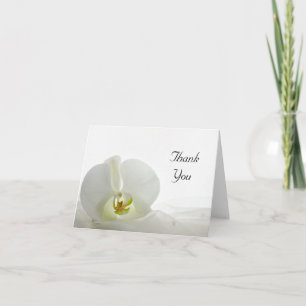 White Orchid and Bridal Veil Thank You Card