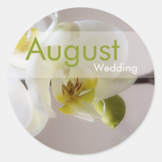 White Orchid • August Wedding Sticker