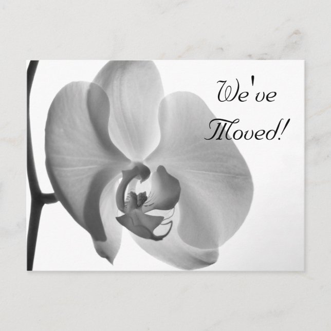 White Orchid Change of Address Announcement Postcard (Front)