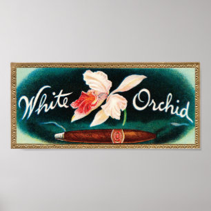 White Orchid Cigar Label Poster