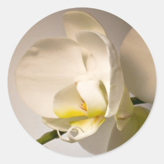 White Orchid Envelope Seal Event Wedding Sticker