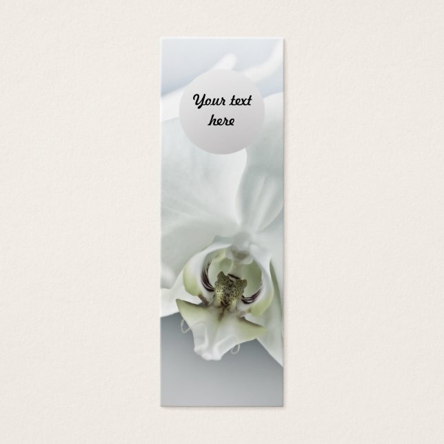 White Orchid Flower (Front)