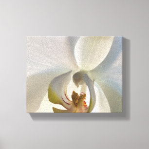White Orchid Flower Blossom Canvas Print