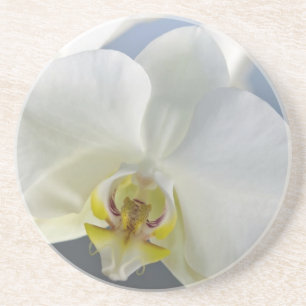 White Orchid Flower Coaster