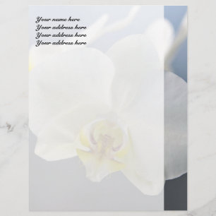 White Orchid Flower Letterhead Design