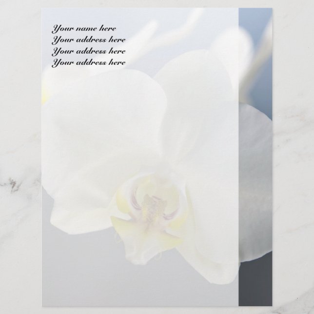 White Orchid Flower Letterhead Design (Front)