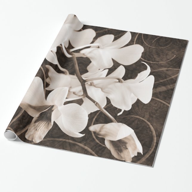 White Orchid Flower Sepia Black Background floral Wrapping Paper (Unrolled)