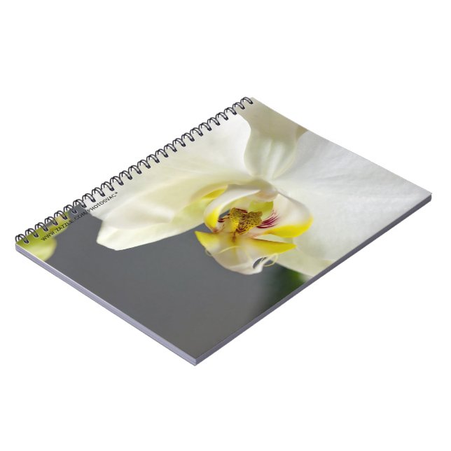 White Orchid Flower Spiral Notebook (Left Side)