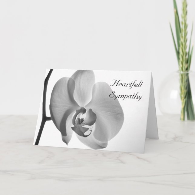 White Orchid Flower Sympathy Card (Front)