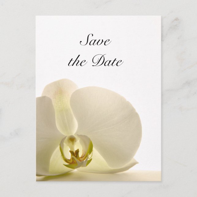 White Orchid Flower Wedding Save the Date Announcement Postcard (Front)