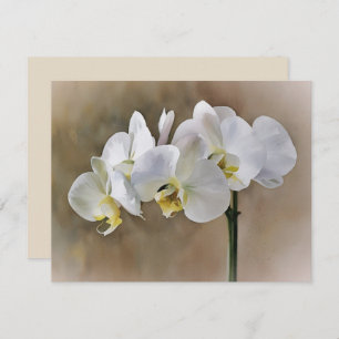 White Orchid Flowers Art Note Card Set 