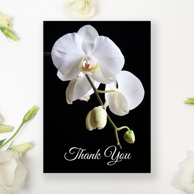 White Orchid Flowers on Black Funeral Sympathy Thank You Card (Creator Uploaded)