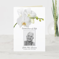 White Orchid Funeral Celebration of Life Photo