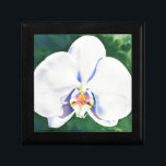 White Orchid Gift Box<br><div class="desc">original romantic white orchid watercolor painting by H Cooper</div>