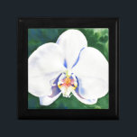 White Orchid Gift Box<br><div class="desc">original romantic white orchid watercolor painting by H Cooper</div>
