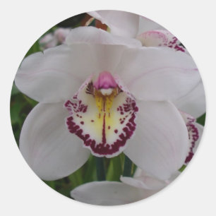 White Orchid II Elegant Floral Classic Round Sticker