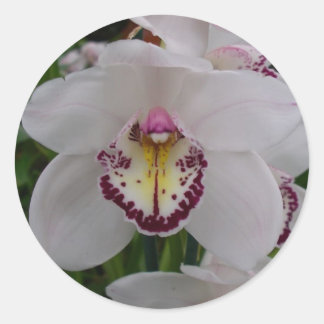 White Orchid II Elegant Floral Classic Round Sticker