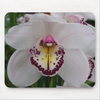 White Orchid II Elegant Floral Mouse Pad