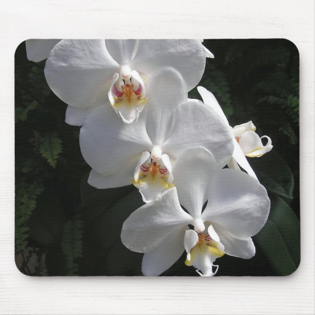 White Orchid Mousepad (Front)