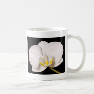 White Orchid on Black Coffee Mug