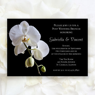 White Orchid on Black Post Wedding Brunch Invitation