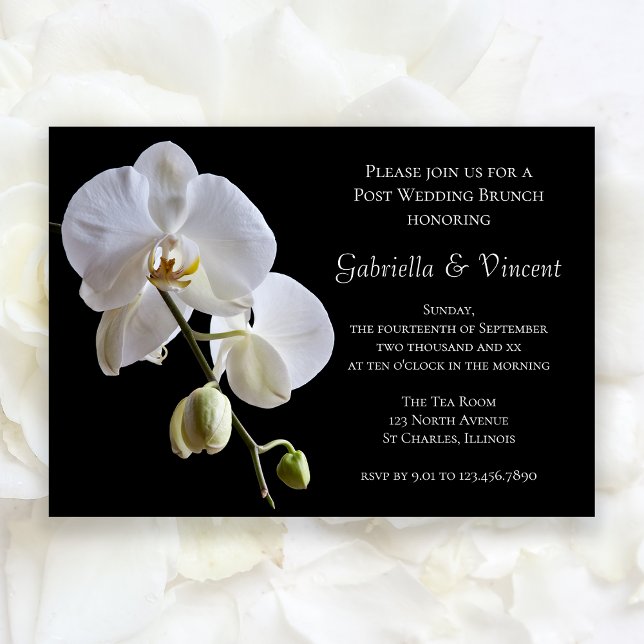 White Orchid on Black Post Wedding Brunch Invitation (Creator Uploaded)