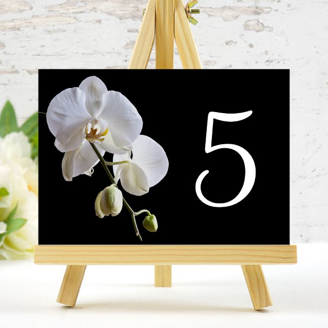 White Orchid on Black Table Numbers (Creator Uploaded)