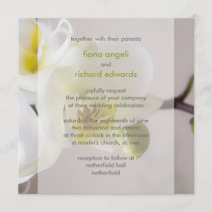 White Orchid • Wedding Invitation
