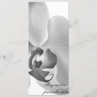 White Orchid Wedding Program Programme