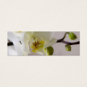 White Orchid • Wedding Website Profile Card