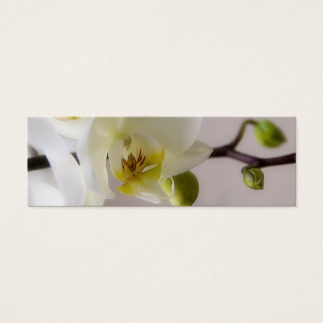 White Orchid • Wedding Website Profile Card (Front)
