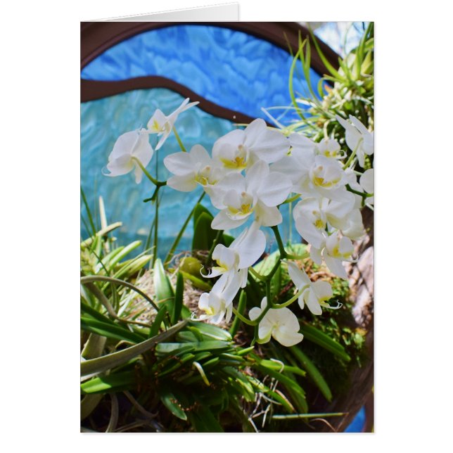 "White Orchids" (Front)