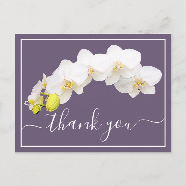 White Orchids Against Purple Background Thank You Postcard (Front)