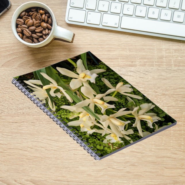 White Orchids and Ferns Floral Notebook (In Situ)
