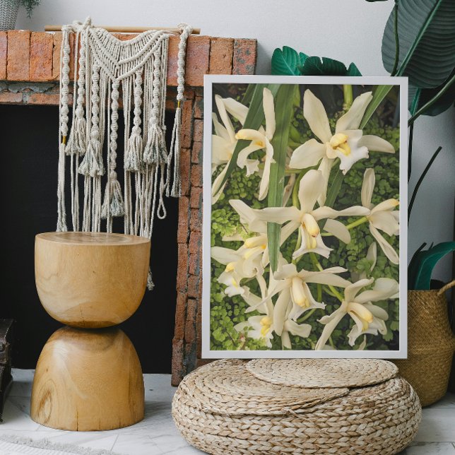 White Orchids and Maidenhair Ferns Floral Photo Print (In Situ Framed)