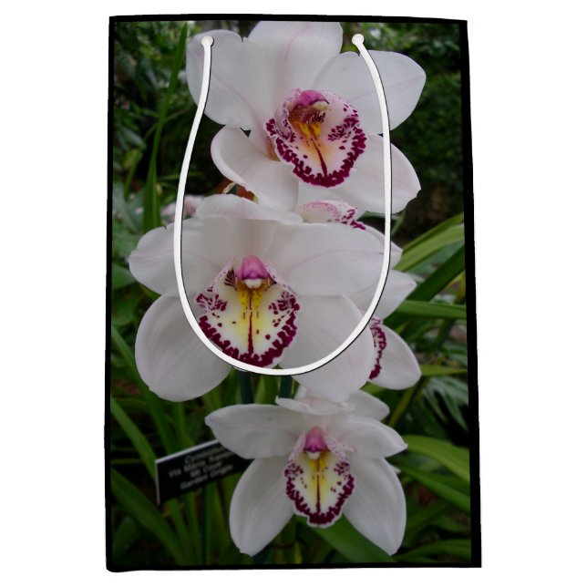 White Orchids Beautiful Tropical Flowers Medium Gift Bag (Front)